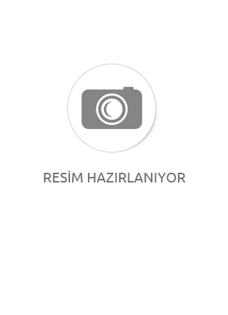 Lissmore Gri Taşlı Elbise 
